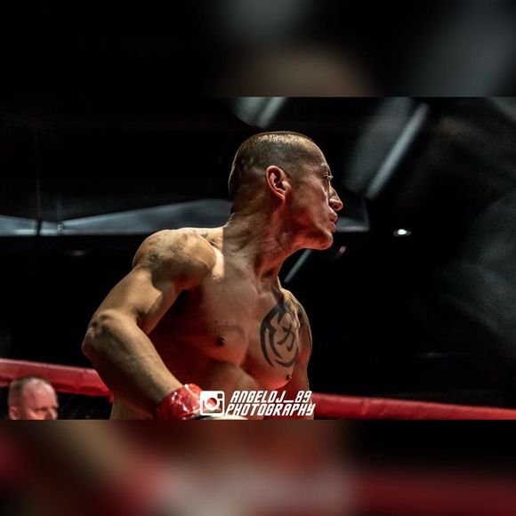 Meet your Posher, Hugo - Picture 1 of 1